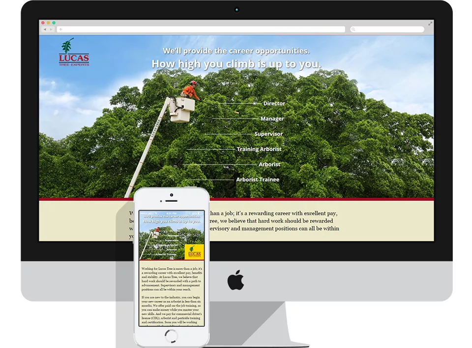 Lucas Tree arborists careers landing page